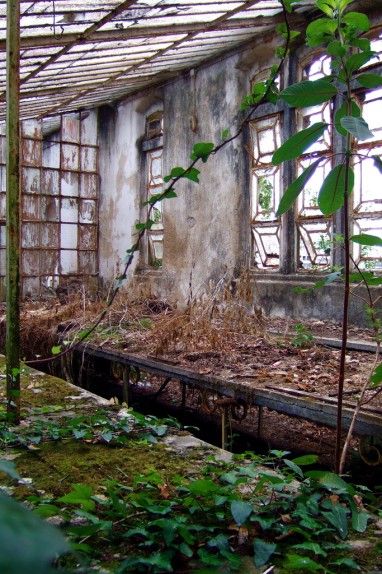 写真10