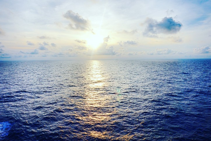 image017