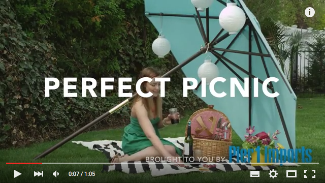 picnicvideo